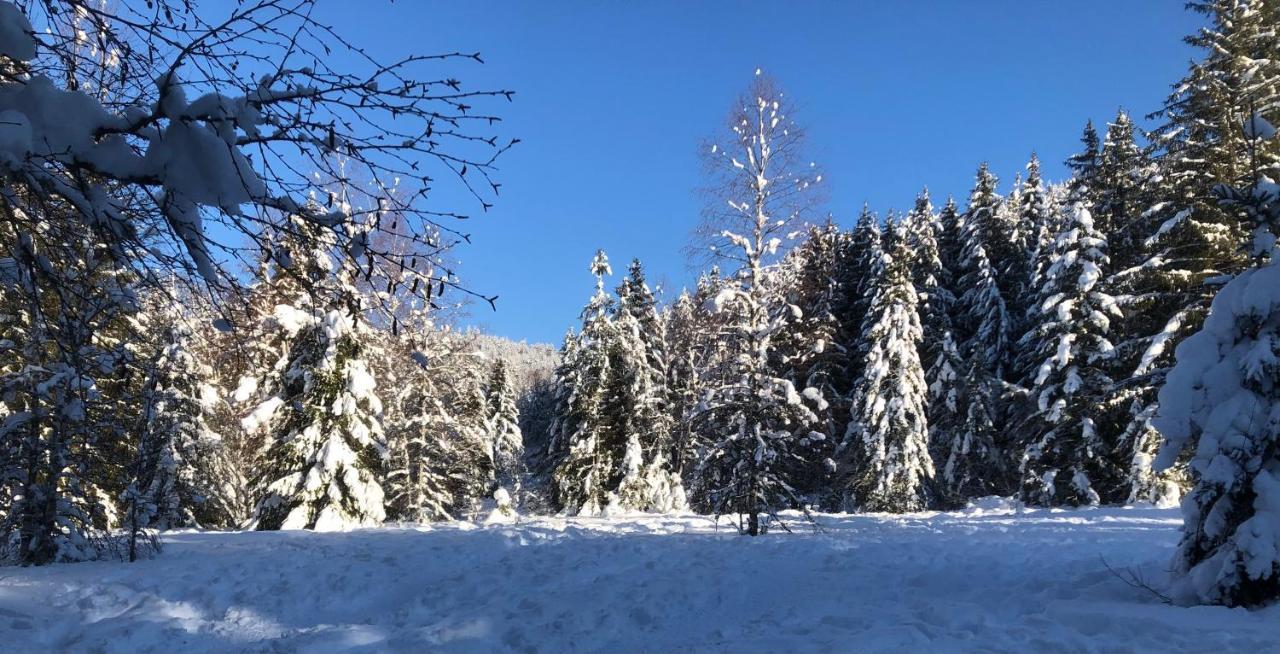 Le Batelier Du Lac Gerardmer Luaran gambar