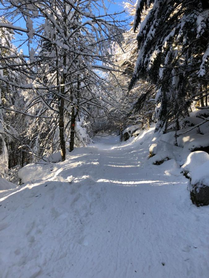 Le Batelier Du Lac Gerardmer Luaran gambar